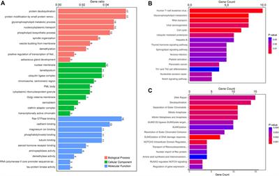 Comprehensive circular RNA expression profile of lung adenocarcinoma with bone metastasis: Identification of potential biomarkers